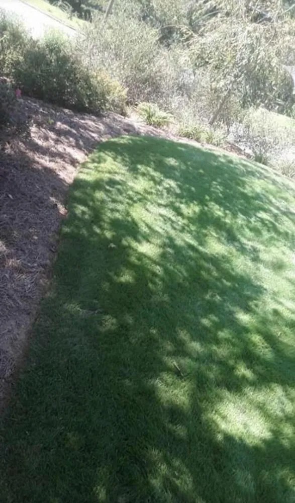 Reliable yard cleanup service for residential properties across Mount Airy, GA - L & T Landscaping & Land Clearing