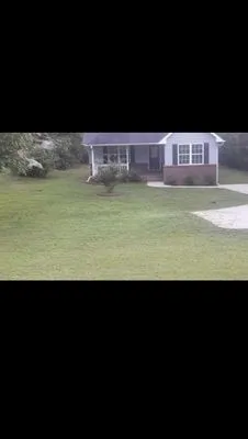 L & T Landscaping & Land Clearing