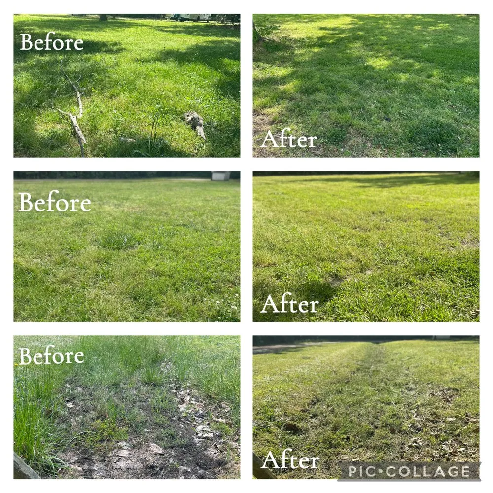 Custom lawn mowing service for year-round maintenance across Clayton, NC - L & T Landscaping