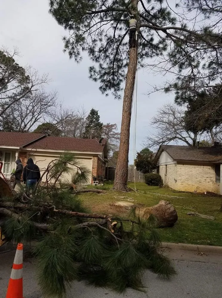 Local outdoor landscaping in Irving, TX by L & T Landscaping