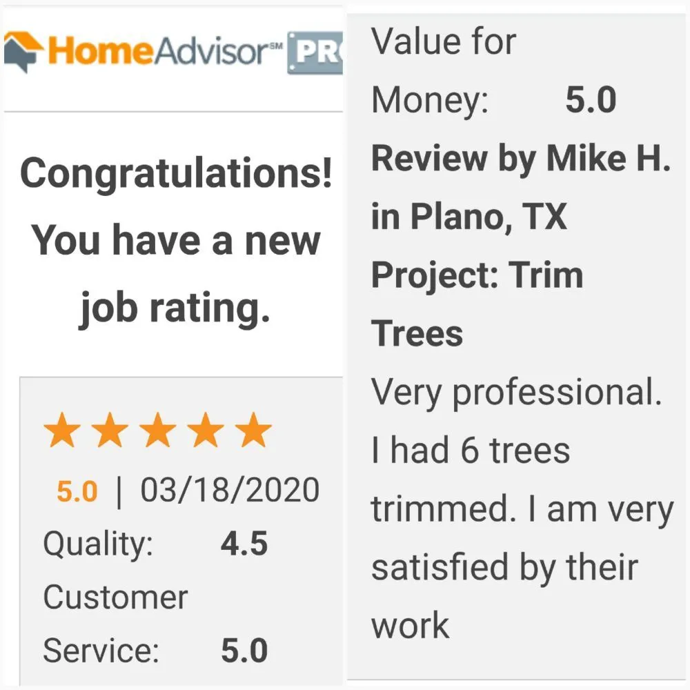 Custom lawn care service in Irving, TX by L & T Landscaping