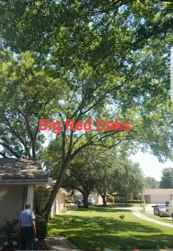 Professional landscape installation experts serving Irving, TX - L & T Landscaping