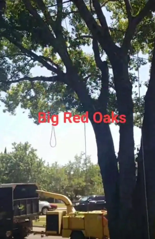 Local outdoor landscaping for residential properties across Irving, TX - L & T Landscaping