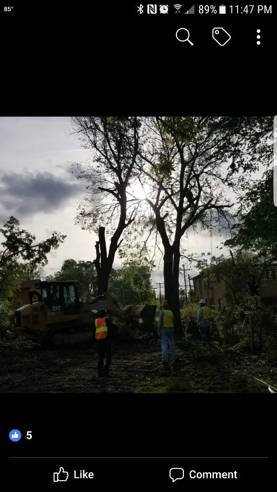 Top-rated landscape installation in Irving, TX - L & T Landscaping