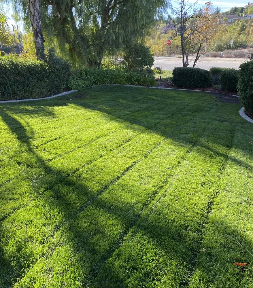 Expert lawn mowing service in Riverside, CA by L & V Lawn Care