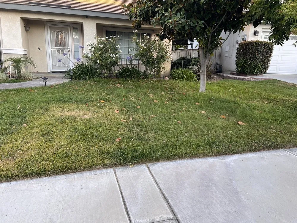 Top-rated yard maintenance experts serving Riverside, CA - L & V Lawn Care