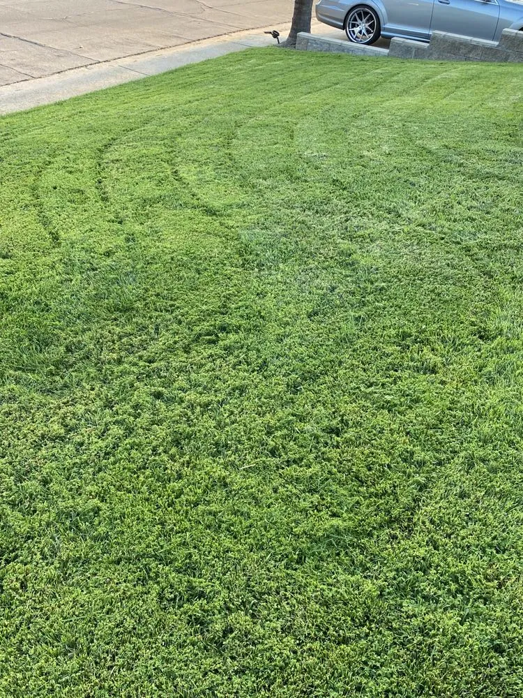 Affordable yard maintenance in Riverside, CA by L & V Lawn Care