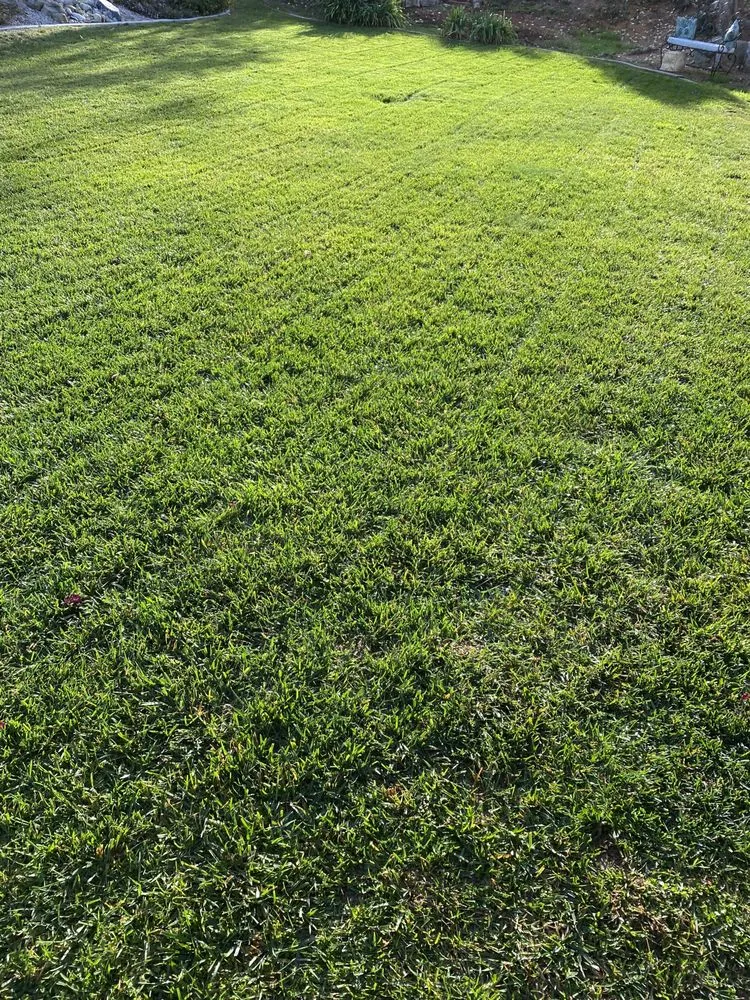 Custom residential landscaping in Riverside, CA - L & V Lawn Care