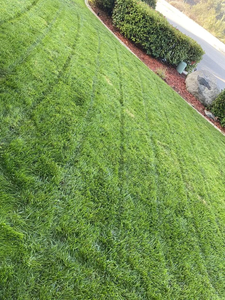 Affordable landscape design experts serving Riverside, CA - L & V Lawn Care
