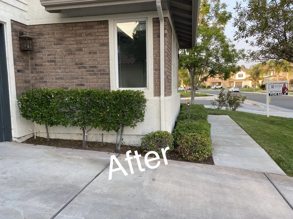 Top-rated yard maintenance in Riverside, CA by L & V Lawn Care