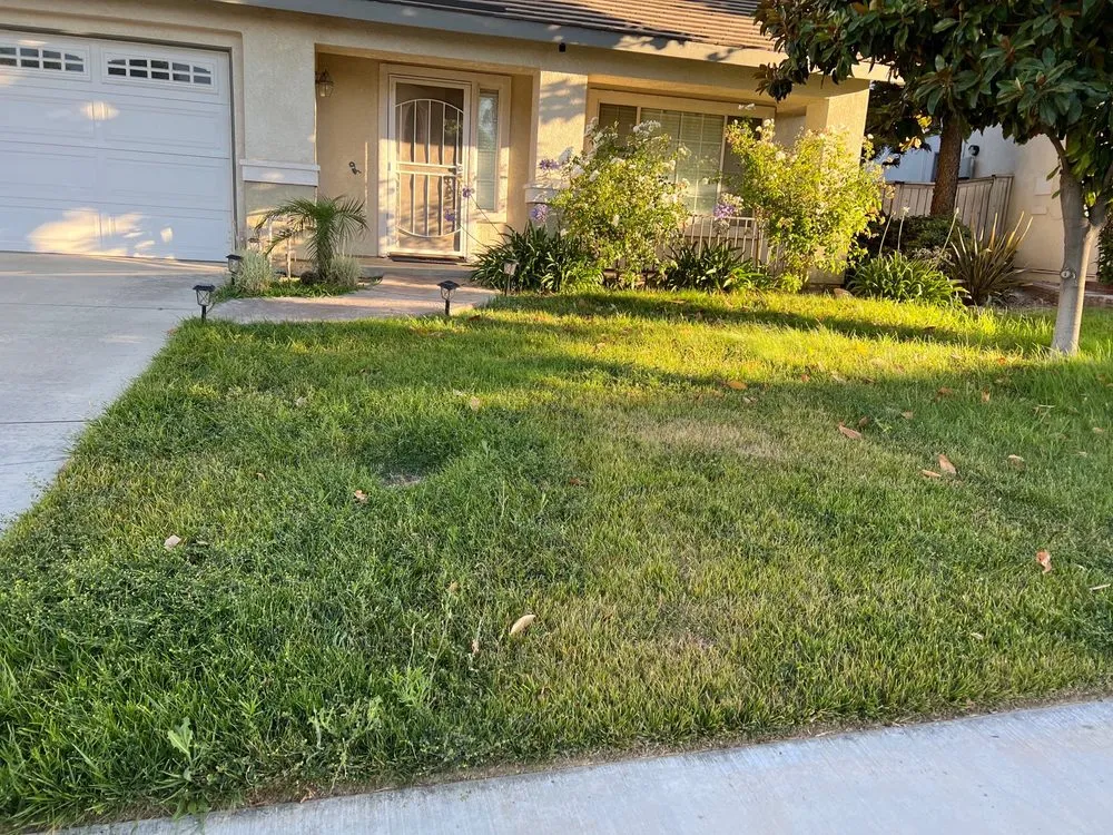 Expert yard maintenance for homes across Riverside, CA - L & V Lawn Care