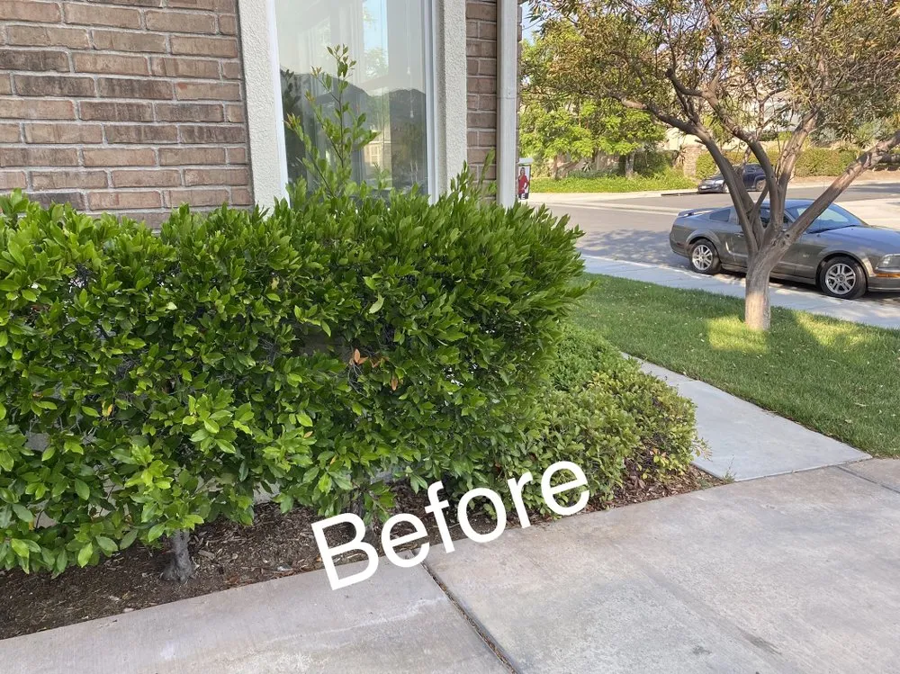 Professional yard maintenance for residential properties in Riverside, CA by L & V Lawn Care
