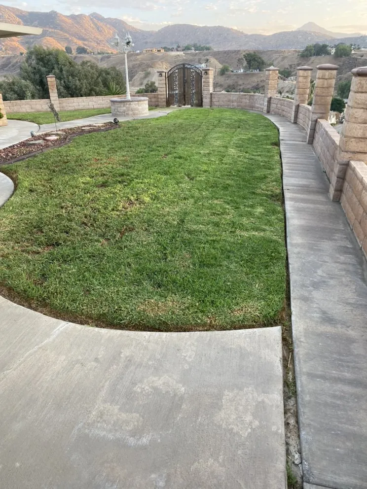 Top-rated yard cleanup service in Riverside, CA - L & V Lawn Care