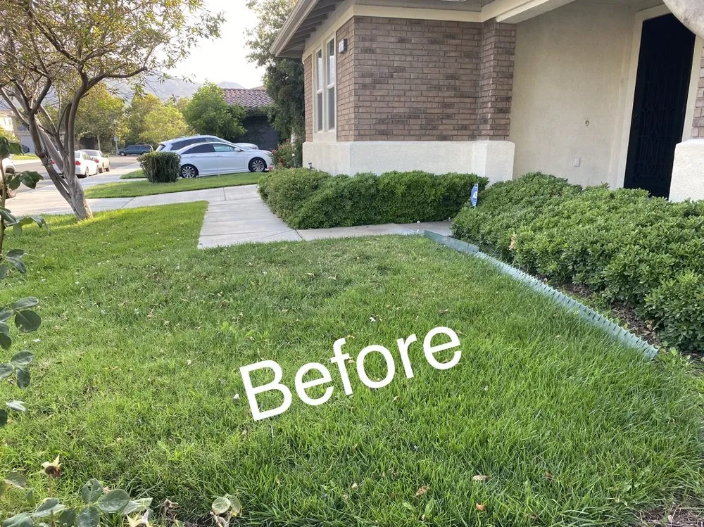 Affordable landscape design for homes across Riverside, CA - L & V Lawn Care