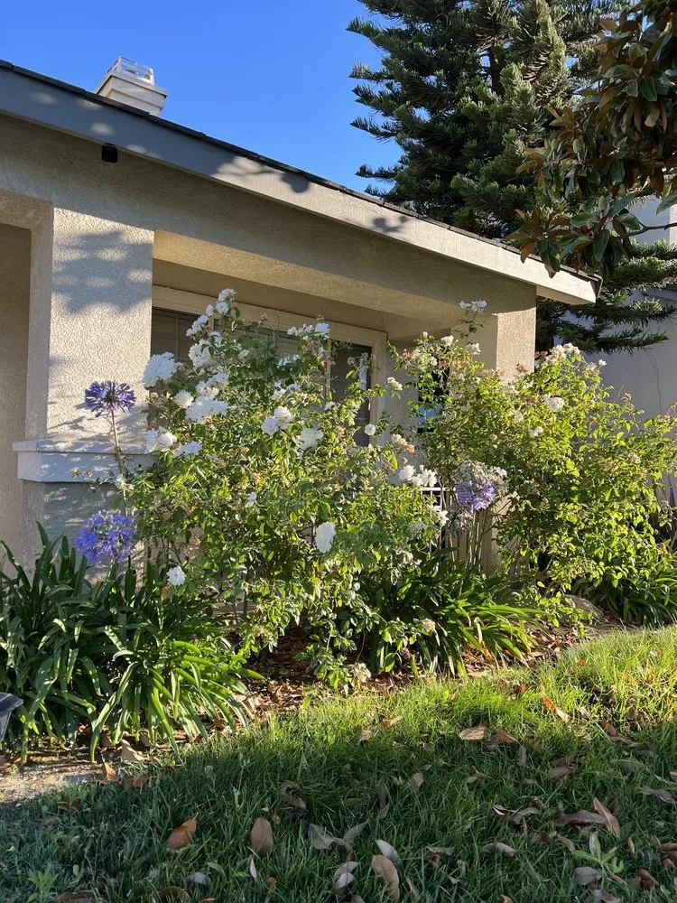 Top-rated landscaping services for residential properties in Riverside, CA by L & V Lawn Care