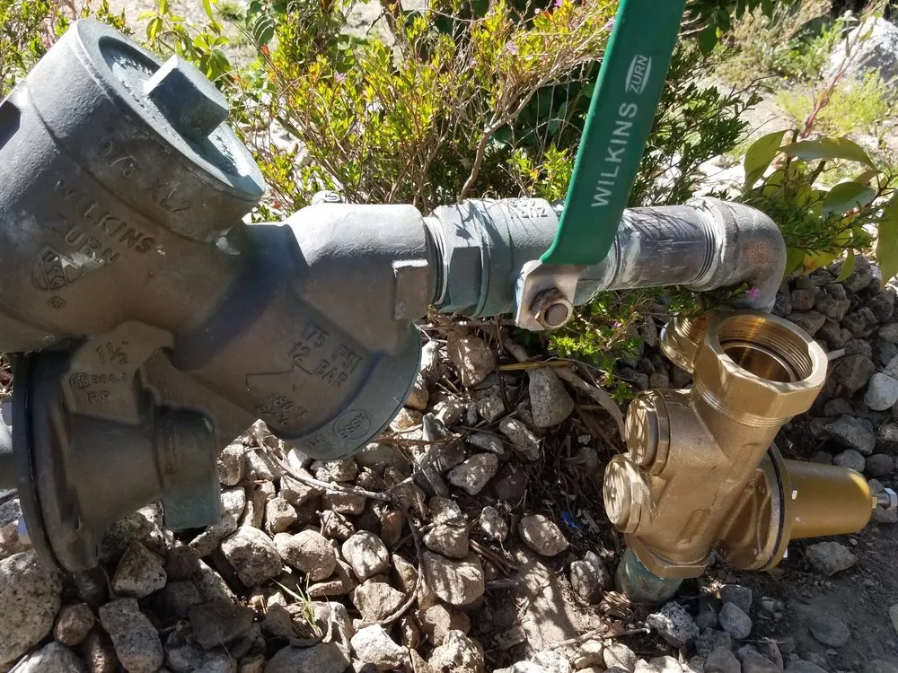 Professional yard cleanup service in Riverside, CA - L & V Lawn Care