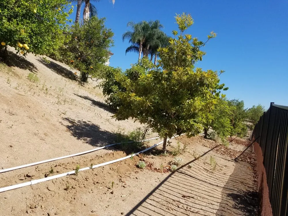 Reliable yard cleanup service with custom design across Riverside, CA - L & V Lawn Care