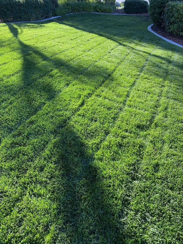 Local residential landscaping for outdoor upgrades across Riverside, CA - L & V Lawn Care