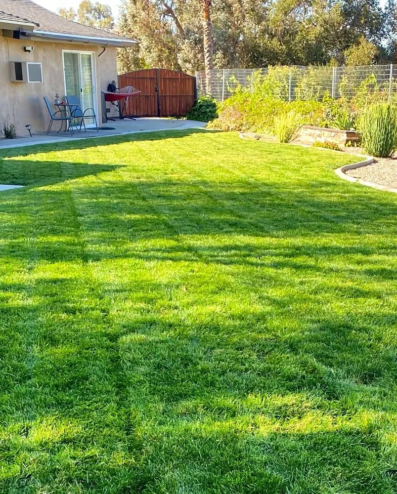 Reliable landscaping services in Riverside, CA - L & V Lawn Care