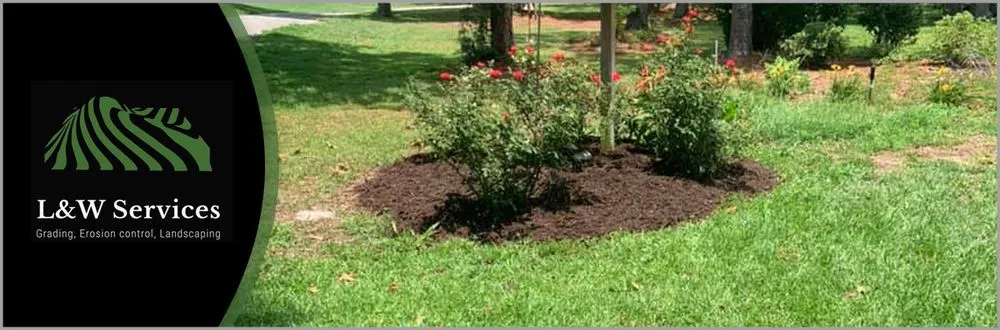 Trusted lawn mowing service experts serving Myrtle Beach, SC - L & W Services