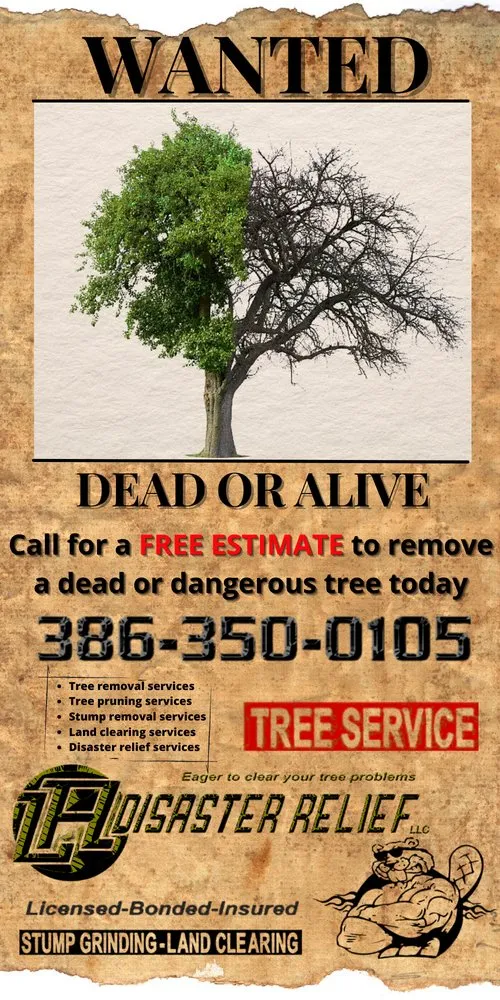 Trusted outdoor landscaping with custom design across Interlachen, FL - L A Disaster Relief