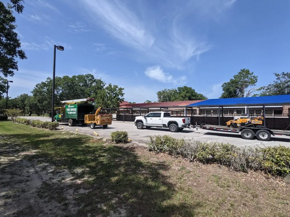 Affordable yard cleanup service in Interlachen, FL by L A Disaster Relief