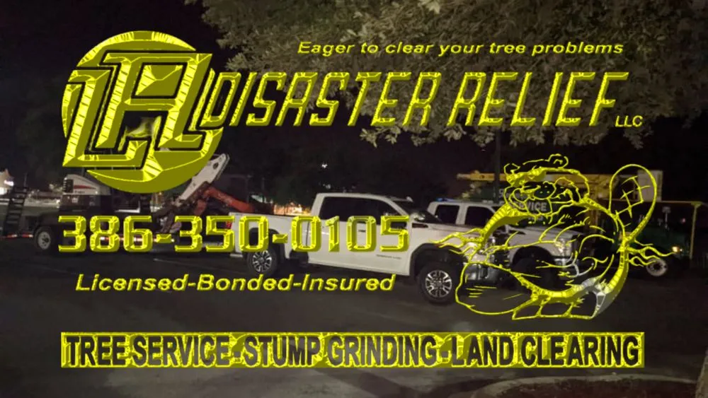 Top-rated yard cleanup service with custom design across Interlachen, FL - L A Disaster Relief