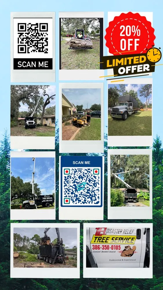 Trusted lawn mowing service for homes across Interlachen, FL - L A Disaster Relief