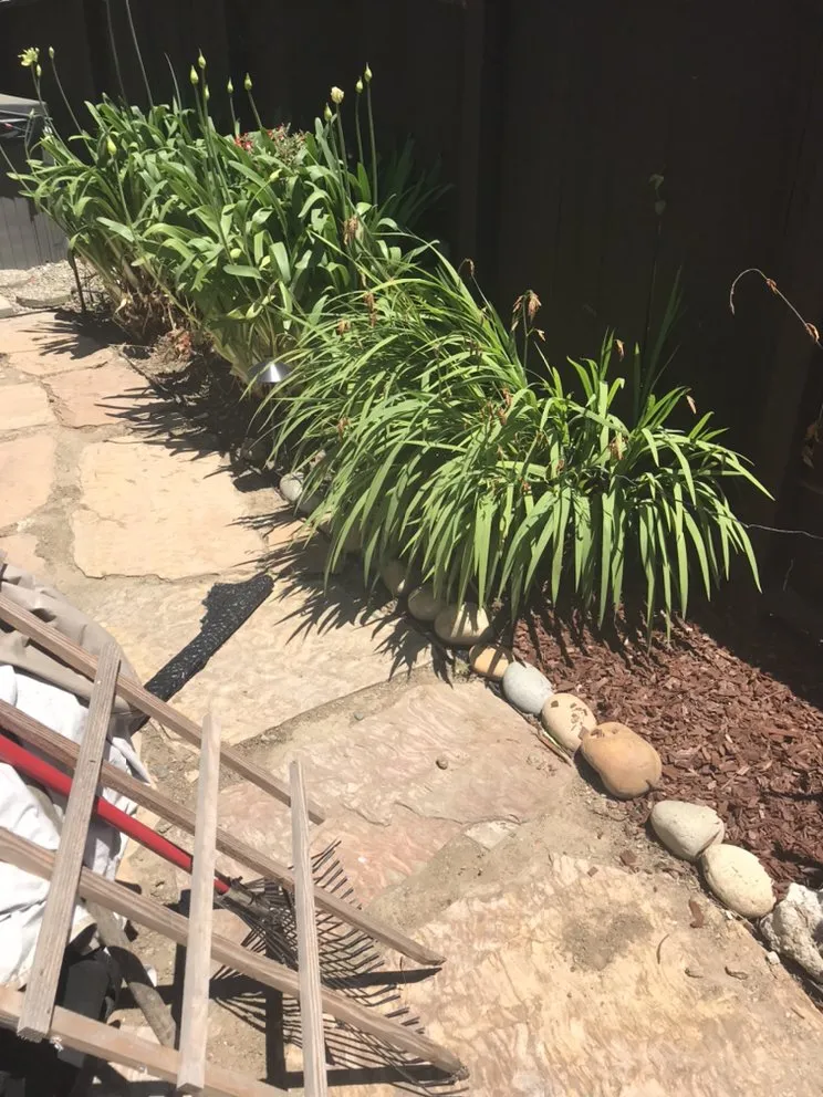 Local lawn care service near you across Watsonville, CA - L A Lawn & Landscape Care Service