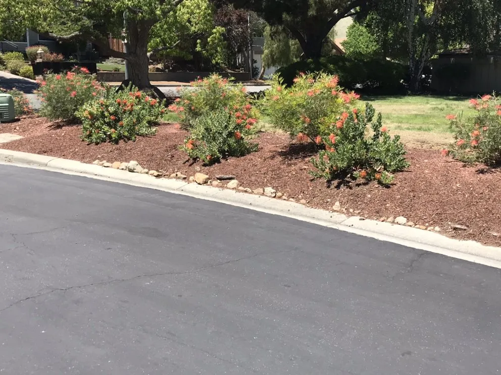 Trusted lawn care service experts serving Watsonville, CA - L A Lawn & Landscape Care Service