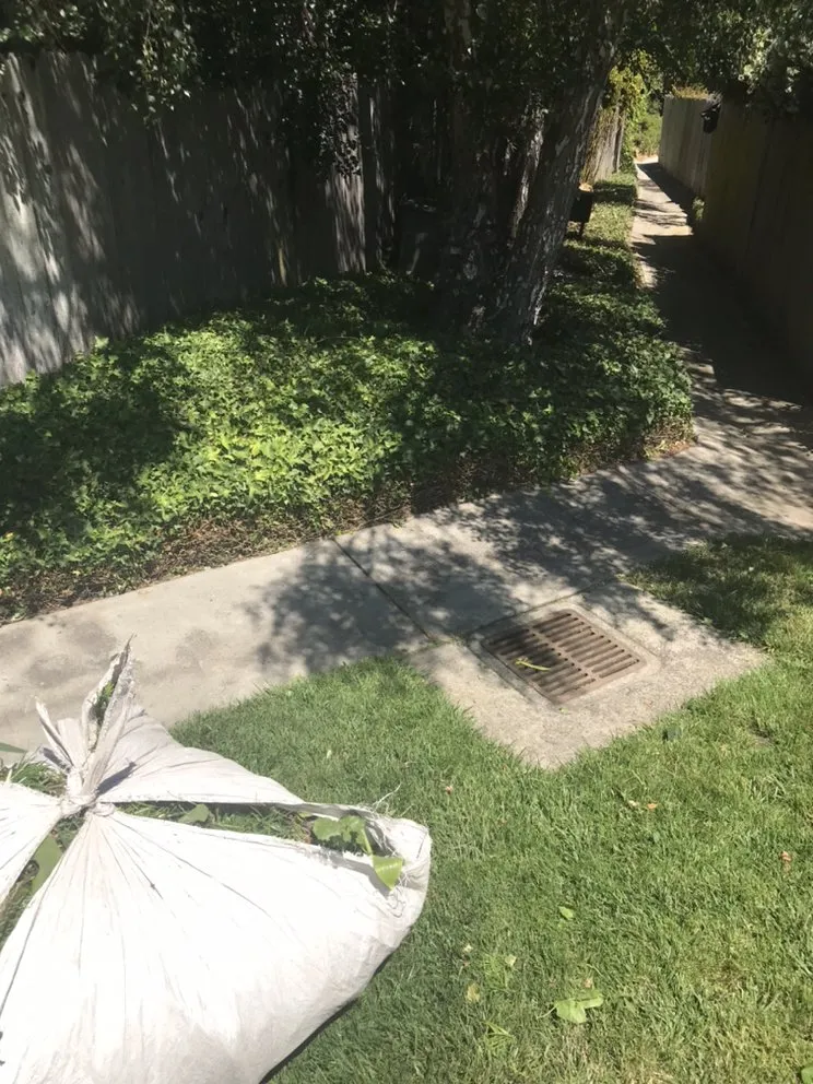 Custom landscape design in Watsonville, CA by L A Lawn & Landscape Care Service