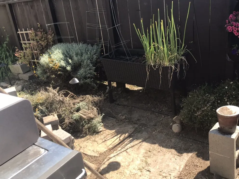 Reliable yard maintenance for year-round maintenance in Watsonville, CA by L A Lawn & Landscape Care Service