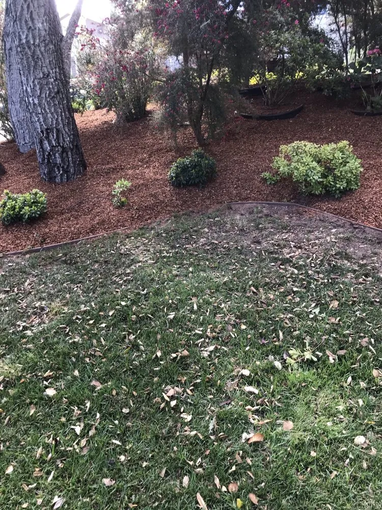 Local landscaping services near you in Watsonville, CA by L A Lawn & Landscape Care Service