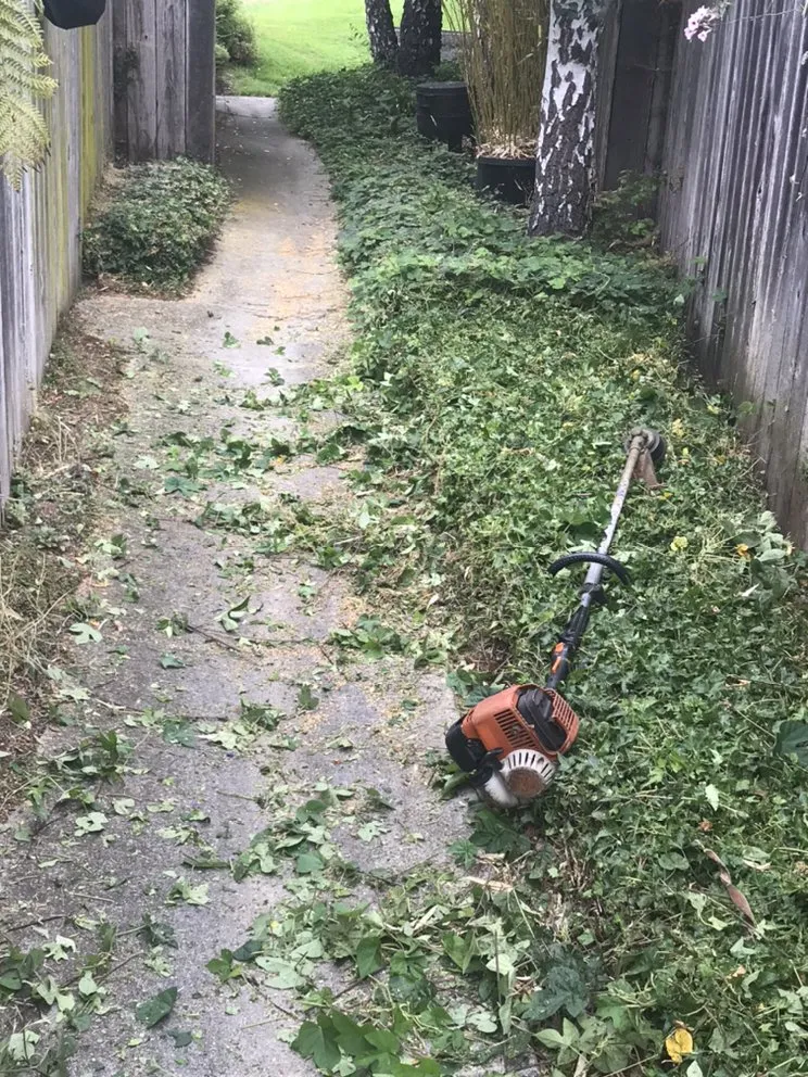 Reliable landscape installation experts serving Watsonville, CA - L A Lawn & Landscape Care Service