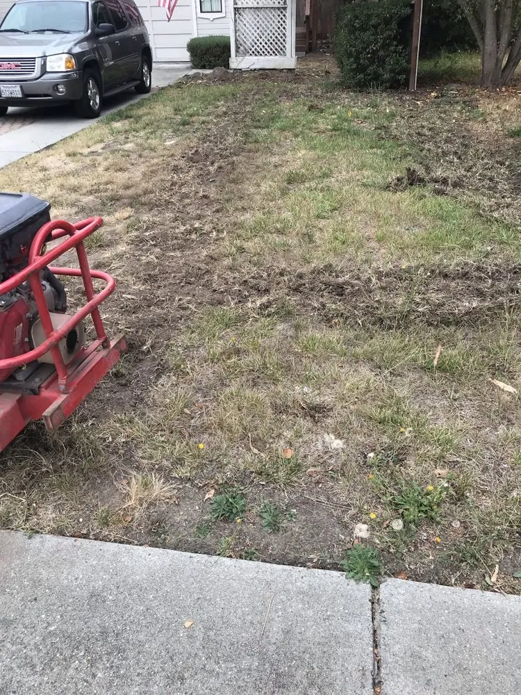 Reliable lawn care service for outdoor upgrades in Watsonville, CA by L A Lawn & Landscape Care Service