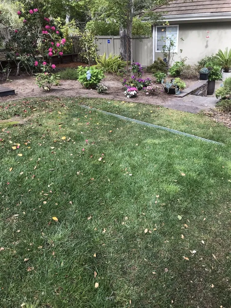 Custom landscape design for residential properties across Watsonville, CA - L A Lawn & Landscape Care Service