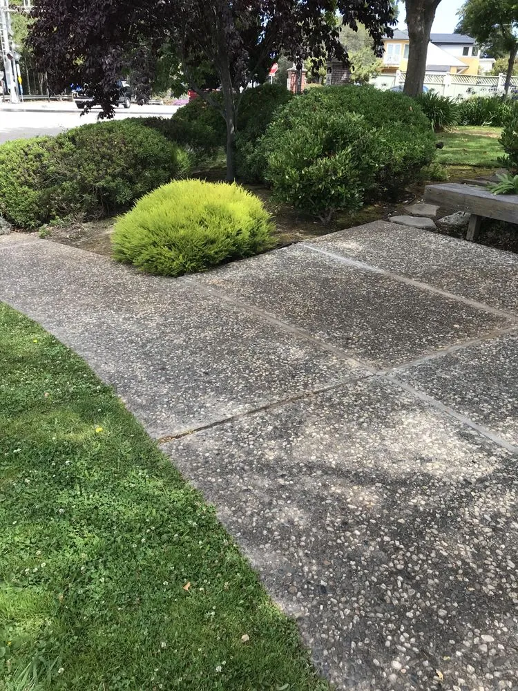 Custom landscaping services in Watsonville, CA - L A Lawn & Landscape Care Service