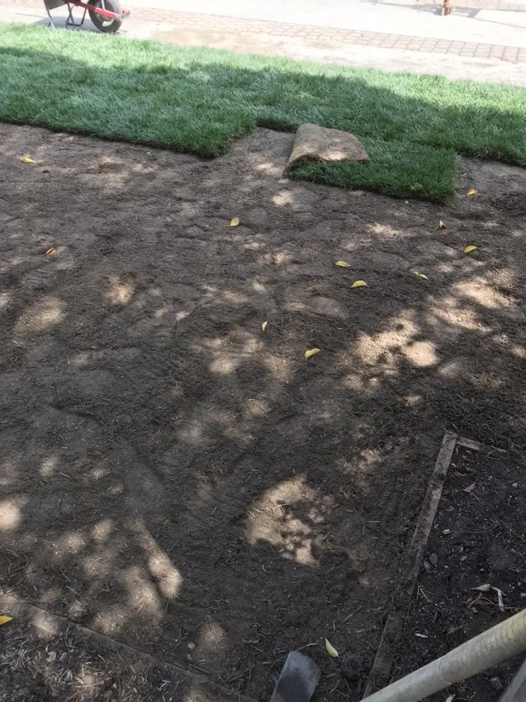 Professional lawn mowing service experts serving Watsonville, CA - L A Lawn & Landscape Care Service