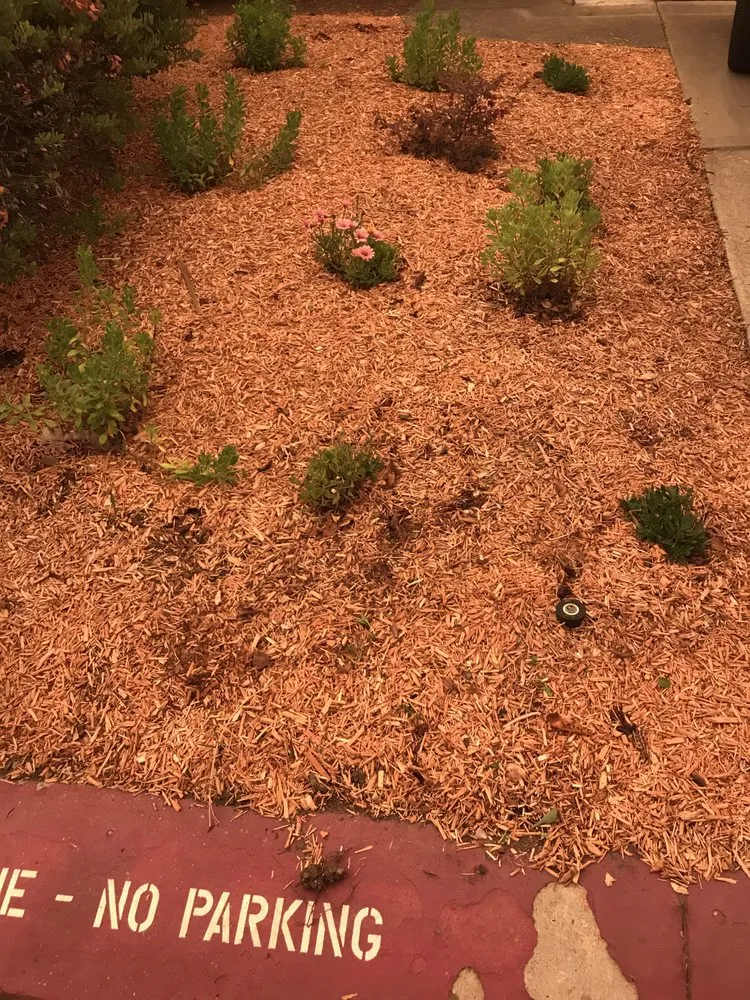 Professional yard maintenance near you in Watsonville, CA by L A Lawn & Landscape Care Service