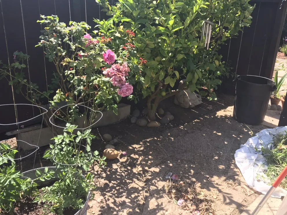 Local landscape installation for outdoor upgrades in Watsonville, CA by L A Lawn & Landscape Care Service