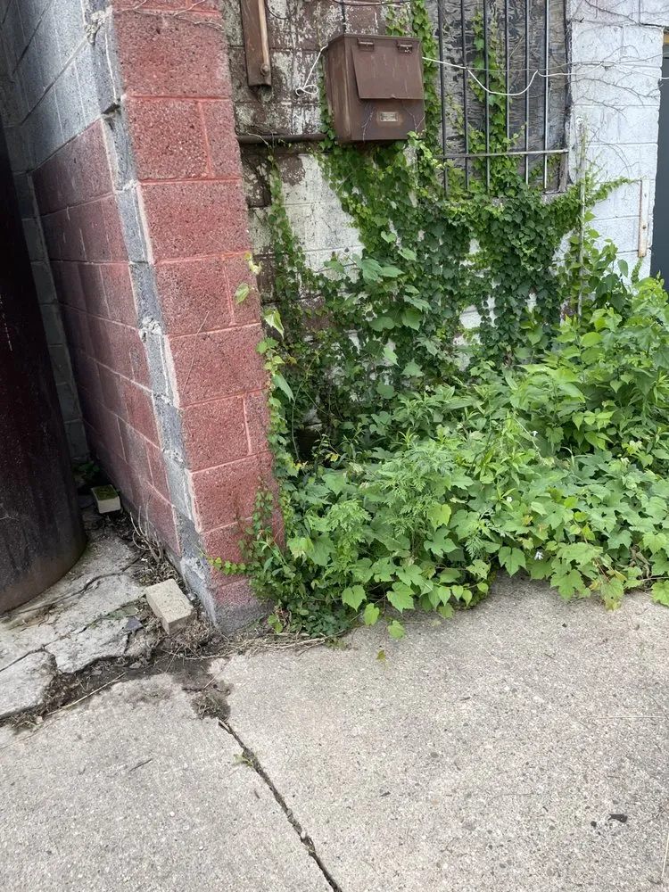 Reliable garden landscaping in Detroit, MI - L A Patios & Landscaping