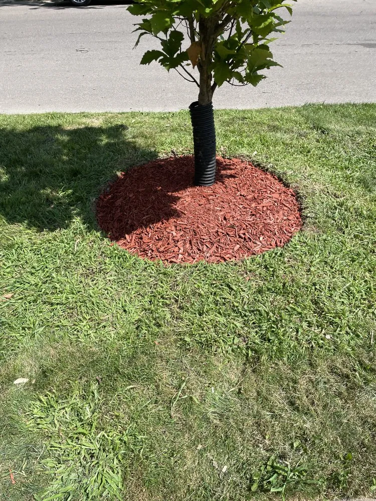 Reliable lawn care service for outdoor upgrades across Detroit, MI - L A Patios & Landscaping