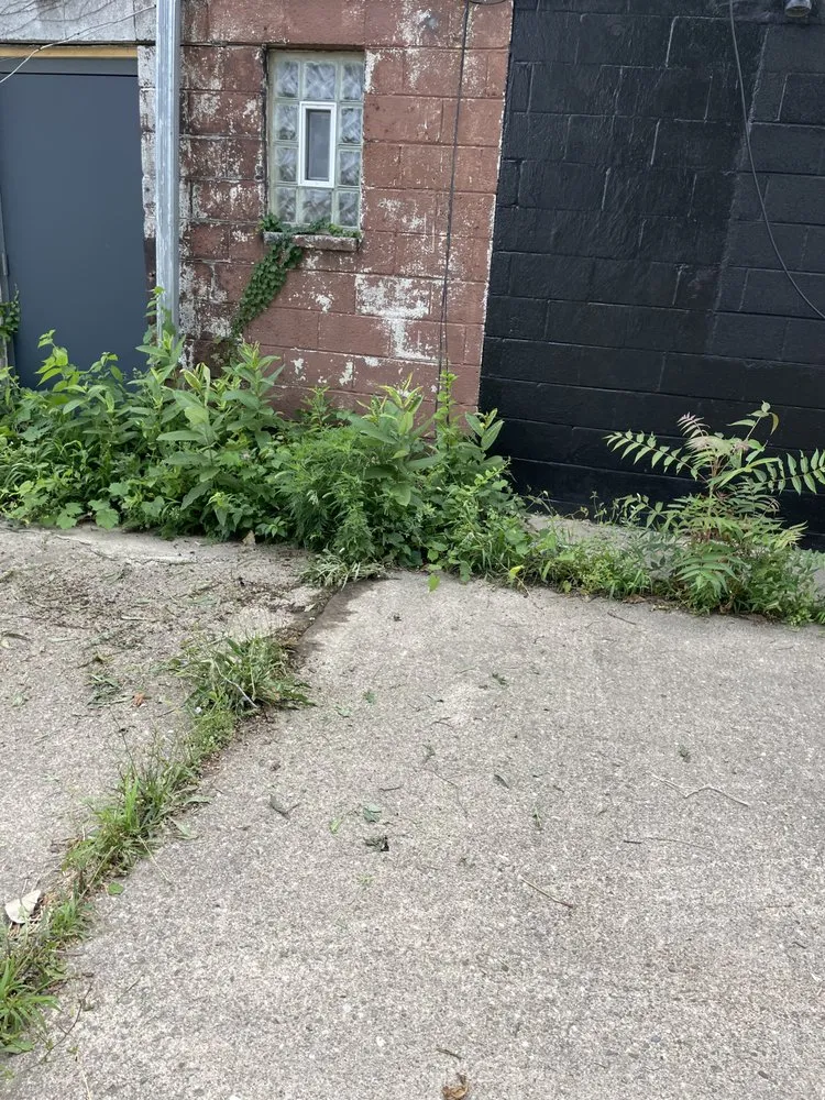 Custom garden landscaping for beautiful yards in Detroit, MI by L A Patios & Landscaping