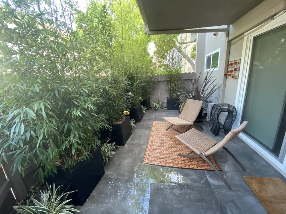 Professional yard cleanup service for homes in Los Angeles, CA by L A Plants