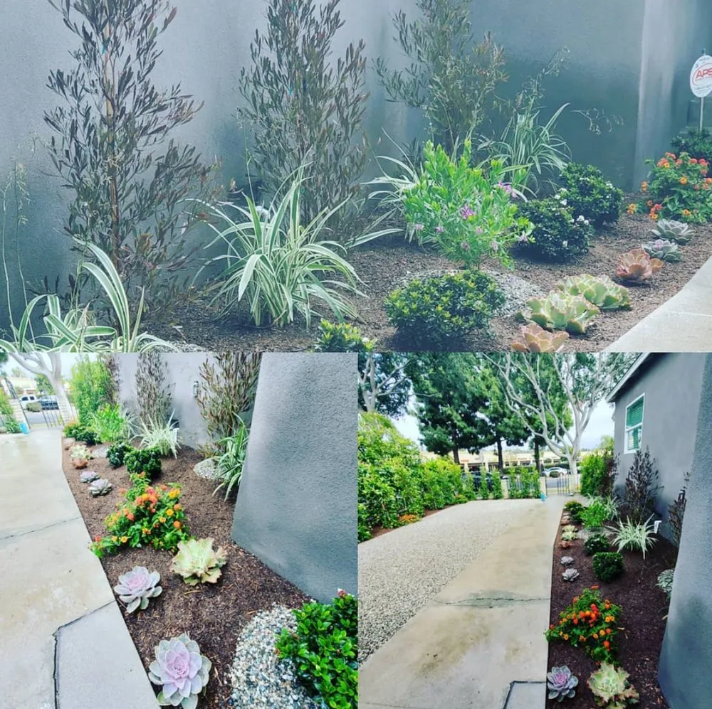 Expert landscaping services experts serving Los Angeles, CA - L A Plants