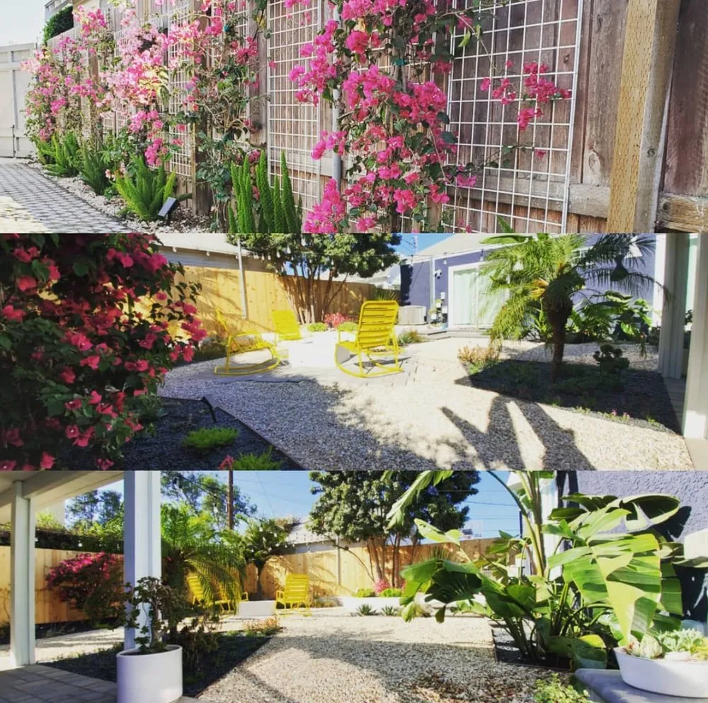 Expert garden landscaping for beautiful yards across Los Angeles, CA - L A Plants