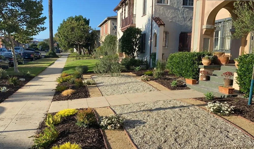 Affordable outdoor landscaping experts serving Los Angeles, CA - L A Plants