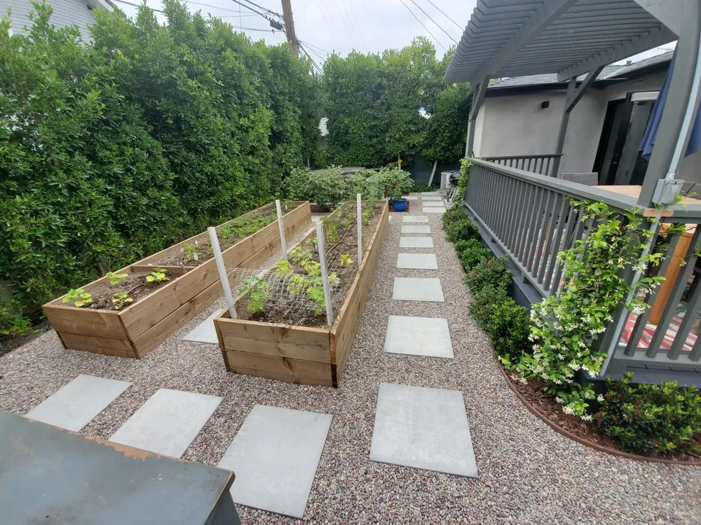 Professional yard cleanup service in Los Angeles, CA by L A Plants