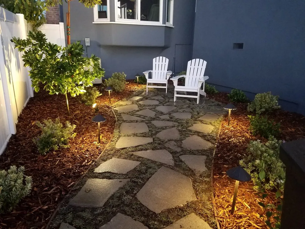 Professional yard maintenance in Los Angeles, CA by L A Plants