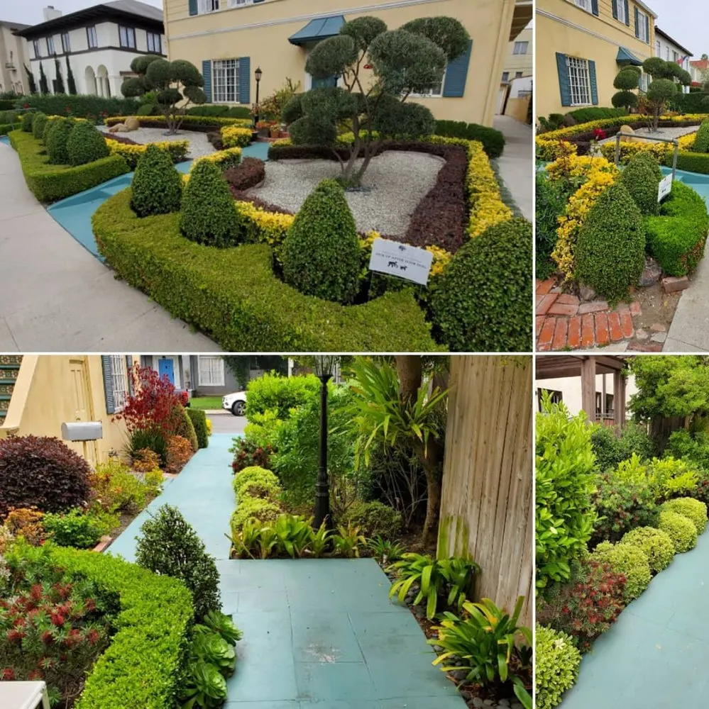 Trusted garden landscaping experts serving Los Angeles, CA - L A Plants